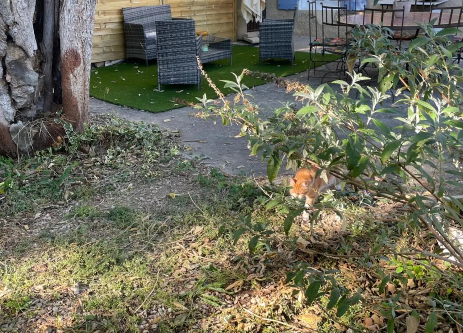 Casa vacanze Gites Le Pimayon Manosque
